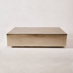 Nickel Coffee Table-Coffee Tables-rectangular-House of Leon