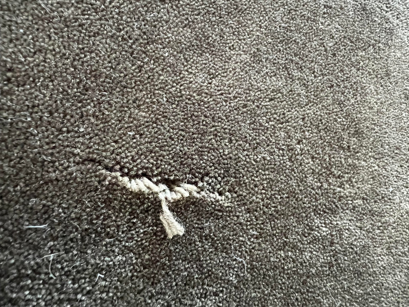Cypress Rug