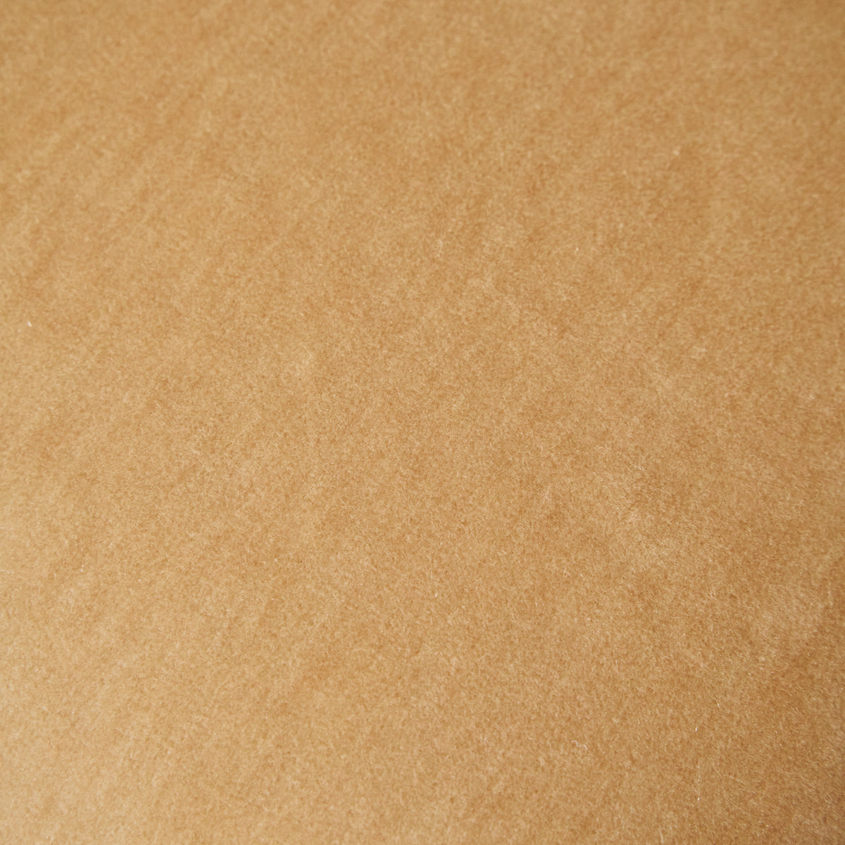 Palazzo Nude Swatch-House of Leon