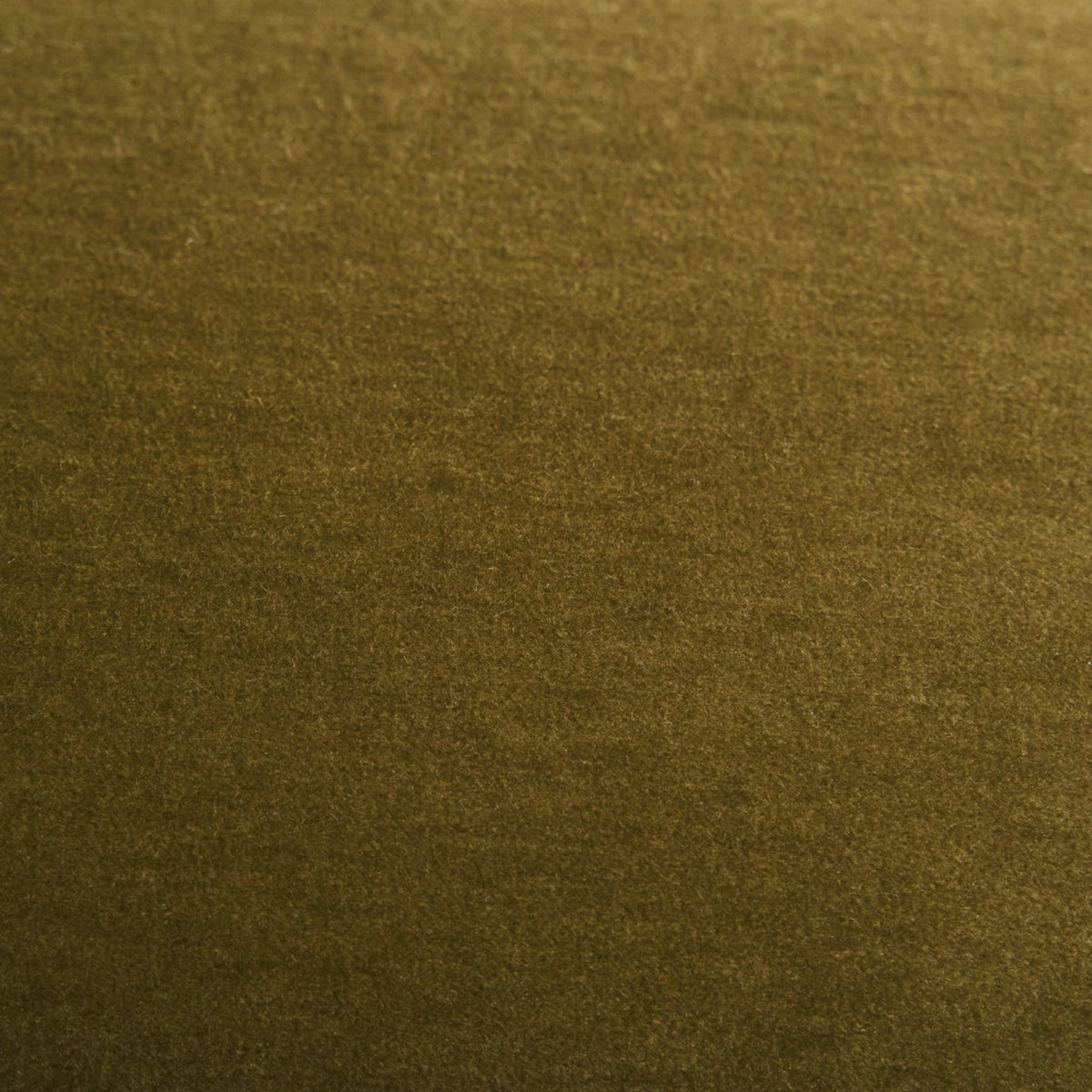 Palazzo Sage Swatch-House of Leon