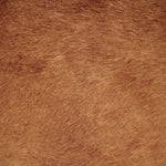 WHISKEY HIDE SWATCH-Swatch-House of Leon