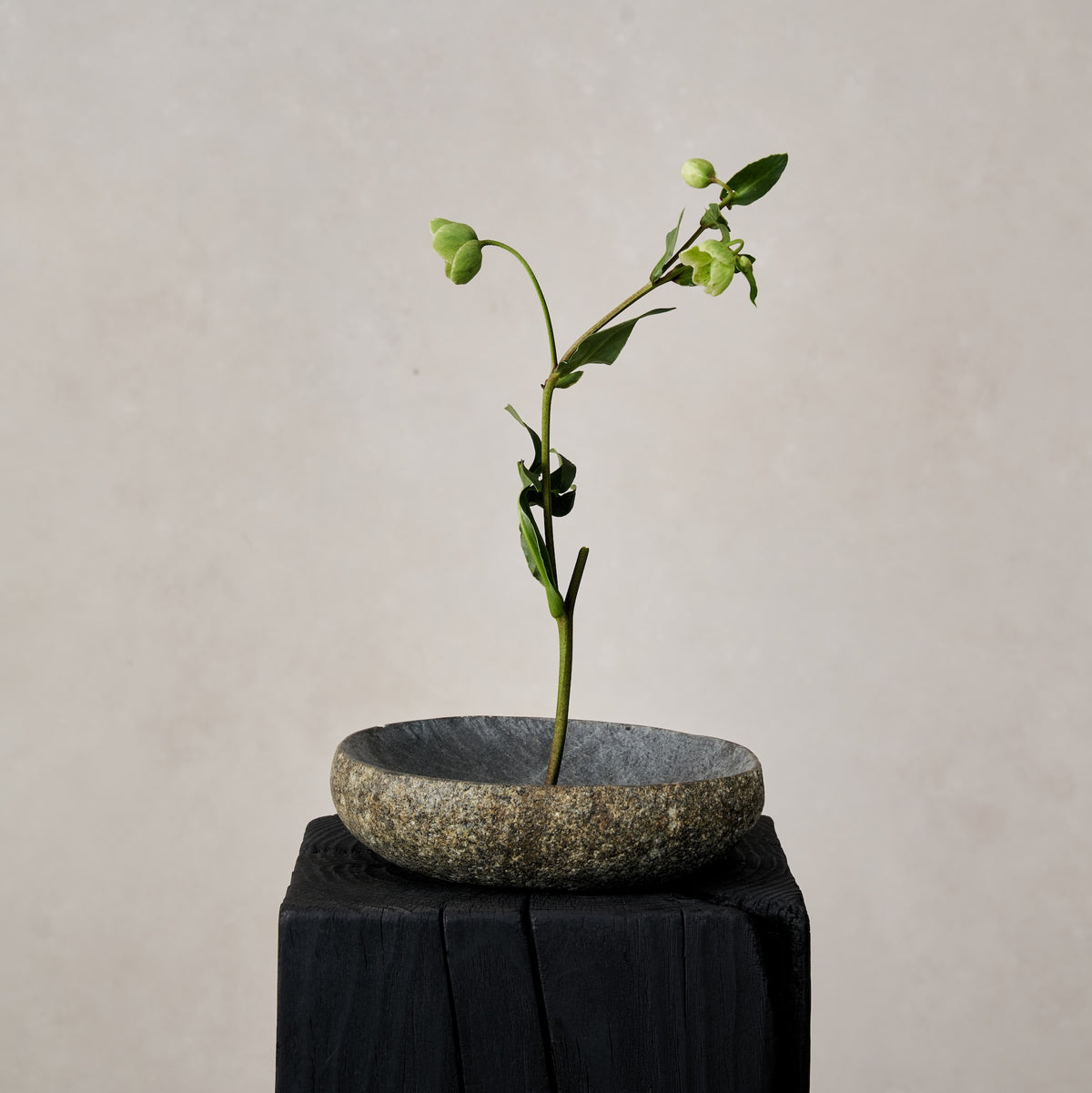 Gift-River Stone Bowl-House of Leon