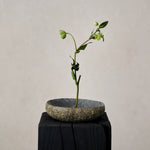 Gift-River Stone Bowl-House of Leon