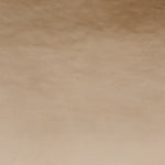Nickel Swatch-Swatch-House of Leon