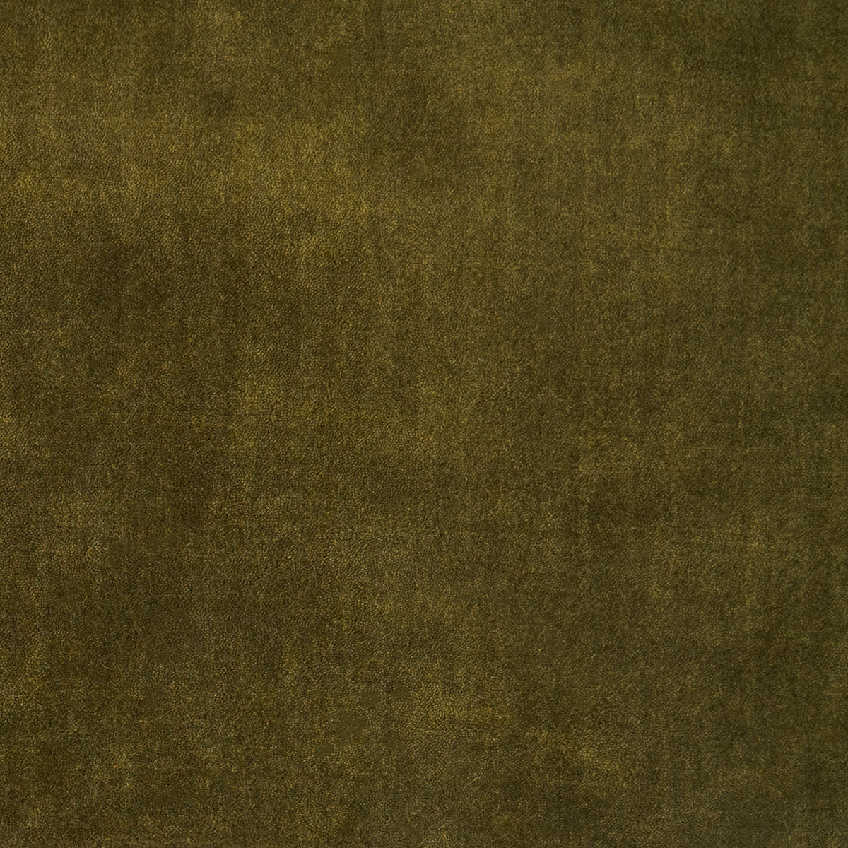 Olive Rug-Rug-House of Leon