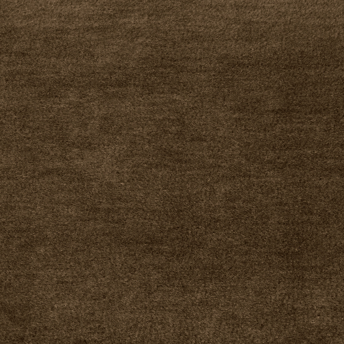 Palazzo Truffle Swatch-House of Leon