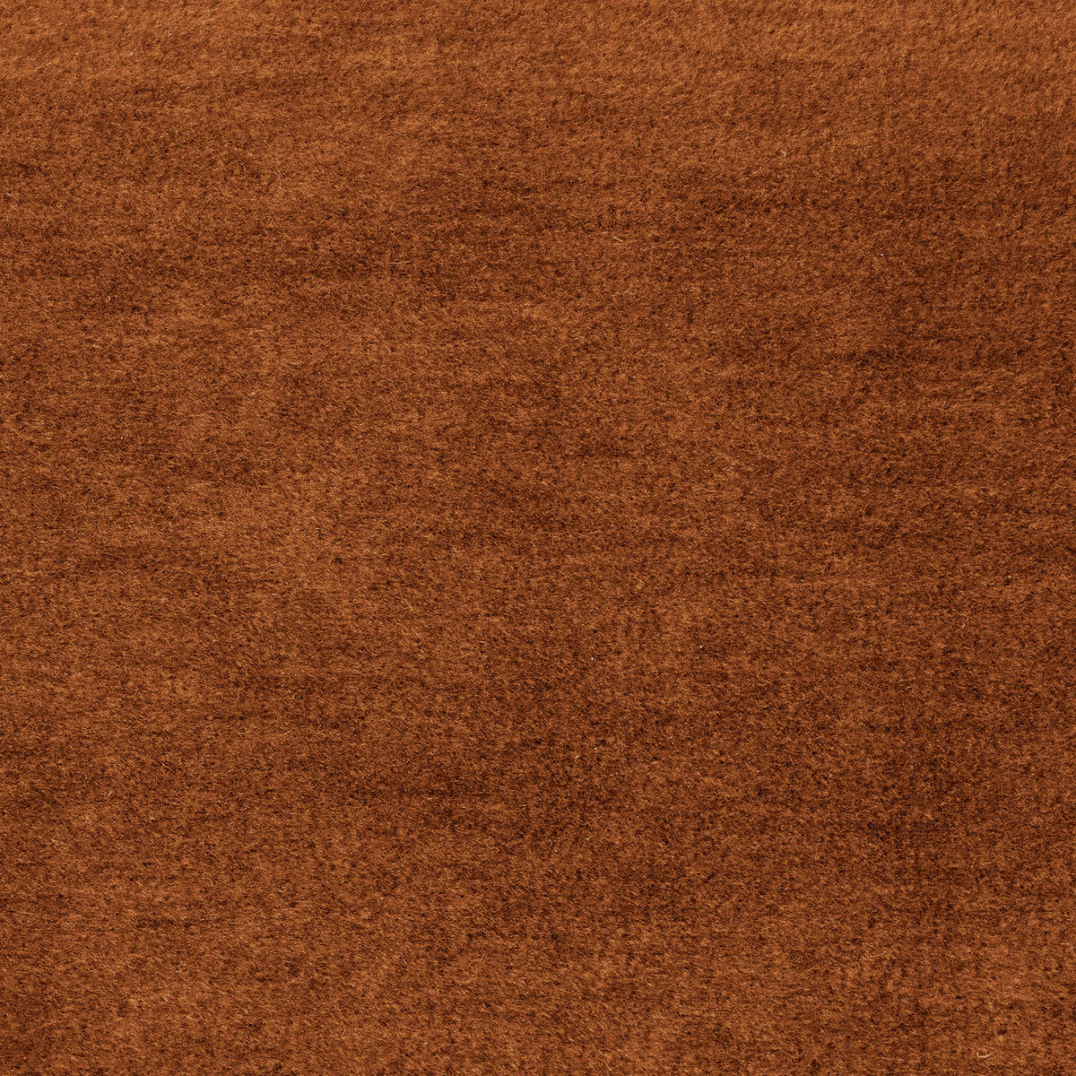 Palazzo Ambra Swatch-House of Leon