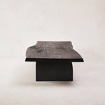 Shou Sugi Ban Coffee Table-Coffee Tables-House of Leon