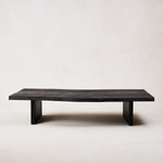 Shou Sugi Ban Coffee Table-Coffee Tables-House of Leon