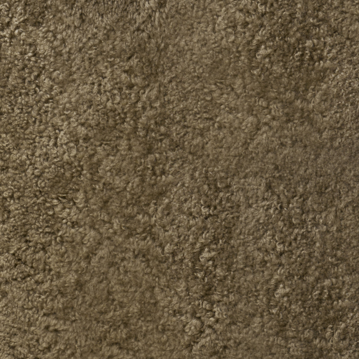 Papa Teddy Swatch Taupe Shearling-House of Leon