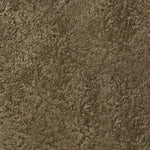 Papa Teddy Swatch Taupe Shearling-House of Leon