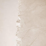 Sofita Marble Coffee Table - Low-Coffee Tables-House of Leon